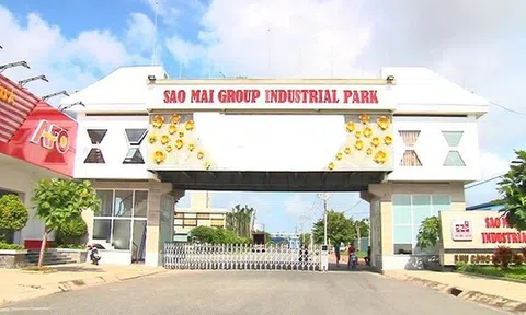 Tập đoàn Sao Mai phát hành hơn 37 triệu cổ phiếu trả cổ tức