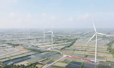 Điện gió Hòa Đông 2: Lỗ lũy kế hơn 490 tỷ đồng, nợ ngân hàng gấp 19 lần vốn chủ sở hữu