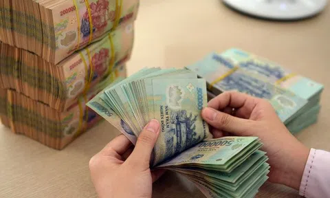 Quy định tiền lương, thưởng, điều kiện làm việc đối với chuyên gia