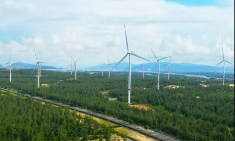 Tập đoàn Singapore đầu tư 5.700 tỷ đồng làm điện gió tại tỉnh Bình Định - Gia Lai