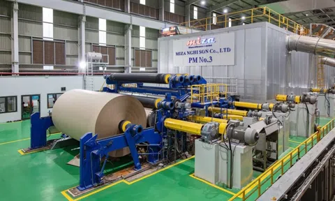 Doanh nghiệp tái chế giấy Miza (MZG) sắp chào bán gần 10,6 triệu cổ phiếu, nâng vốn điều lệ lên 1.165 tỷ đồng