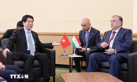 Chủ tịch nước gặp mặt các nguyên thủ, nhà lãnh đạo nhân dự Tuần lễ LHQ