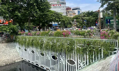 Hà Nội: Cải tạo cảnh quan sông Tô Lịch bằng chậu hoa và máy sục khí