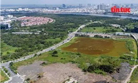 Làm gì khi người khác xây nhà 'nhầm' trên đất của mình?