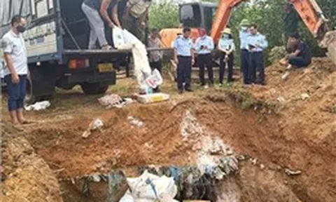Tiêu hủy hơn 5 tấn thực phẩm vi phạm bị tịch thu