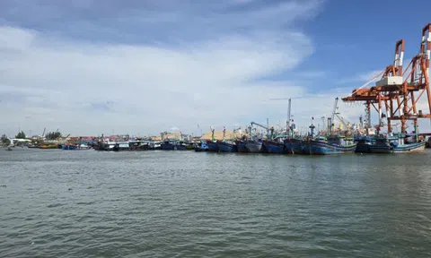 Gia Lai khẩn cấp kêu gọi 141 tàu thuyền ra khỏi vùng nguy hiểm của bão số 10