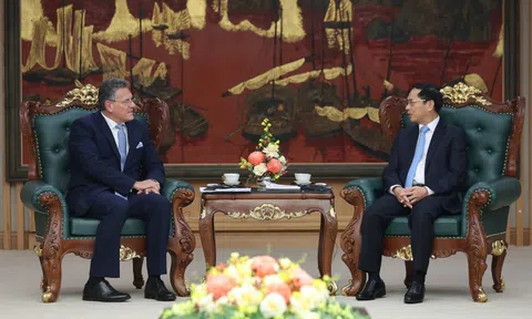Phó Thủ tướng Bùi Thanh Sơn tiếp Cao uỷ Thương mại và An ninh kinh tế Liên minh châu Âu