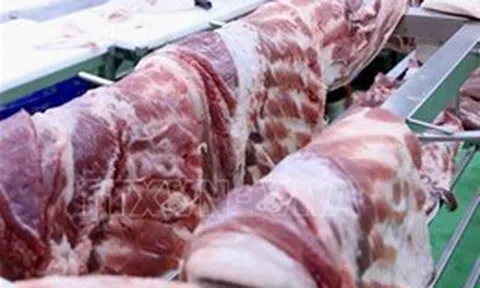 Phạt một cơ sở ở Gia Lai kinh doanh thịt lợn không rõ nguồn gốc