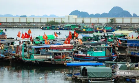 Thủ tướng yêu cầu các địa phương chủ động ứng phó bão số 10 ở mức cao nhất