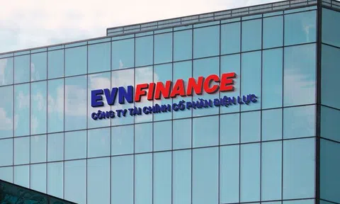 EVF chạm trần, kéo VN-Index giữ sắc xanh