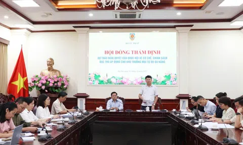 Đề xuất bổ sung một số cơ chế, chính sách đặc thù cho Khu thương mại tự do Đà Nẵng