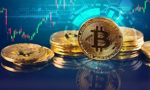 Vượt mốc 200 tỷ USD, Việt Nam đứng thứ 3 châu Á - Thái Bình Dương về giao dịch tiền mã hoá