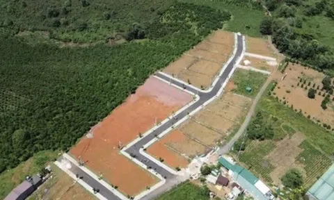 Vẽ '"dự án ma" ở Lâm Đồng, Tập đoàn Sam Group chiếm đoạt hơn 16 tỷ đồng