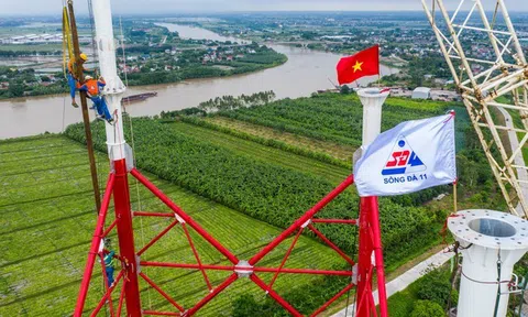 Sông Đà 11 (SJE) chào bán 3,5 triệu cổ phiếu còn lại cho nhân viên, dùng vốn thâu tóm Thủy điện Phúc Long