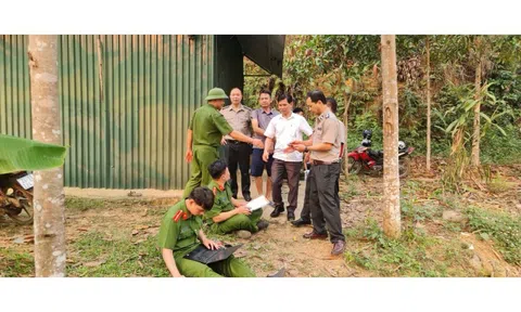 Thi hành án dân sự năm 2025: Vượt chỉ tiêu Quốc hội giao cả về việc và tiền