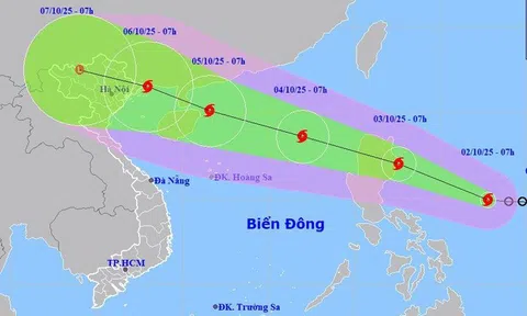 Sẵn sàng lực lượng, phương tiện tại nơi xung yếu trước bão số 11