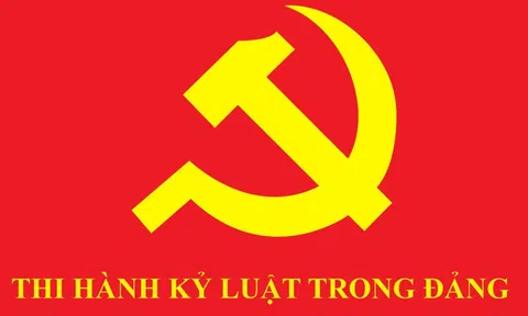 Bộ Chính trị, Ban Bí thư xem xét, thi hành kỷ luật tổ chức đảng, đảng viên vi phạm