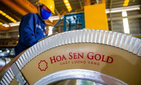 Tập đoàn Hoa Sen (HSG) giải thể một công ty liên kết thành lập năm 2019 nhưng chưa góp vốn