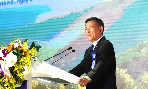 Phát triển VINAFOR trở thành tập đoàn lâm nghiệp quy mô lớn