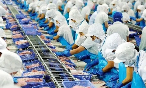 Xuất khẩu thủy sản đạt 8,33 tỷ USD sau 9 tháng, tăng trưởng 15,5%