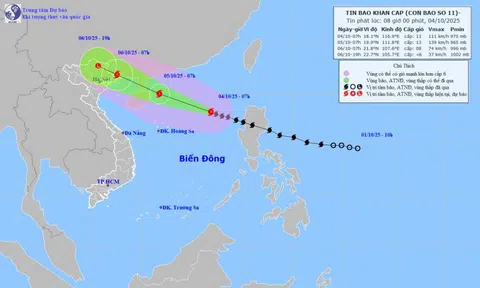 Ứng phó bão số 11: Triển khai đồng bộ các biện pháp ứng phó hình thái thiên tai kép (bão chồng bão, lũ chồng lũ)