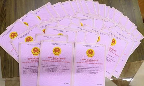 Gia Lai mở chiến dịch 90 ngày làm giàu, làm sạch dữ liệu đất đai