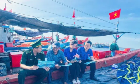 Quảng Ngãi mạnh tay xử phạt tàu cá vi phạm IUU