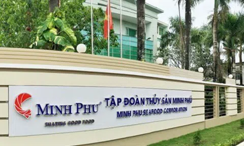Thành lập công ty con tại Canada, lợi nhuận Thủy sản Minh Phú (MPC) tăng gấp 4 lần dù doanh thu đi ngang