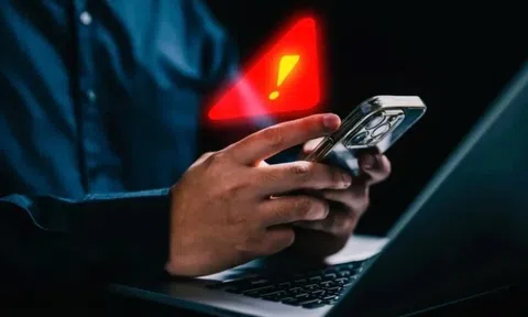 Liên tục lừa đảo