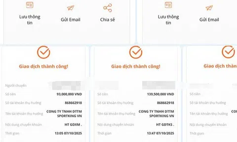 Tham gia nhóm pickleball trên mạng, một phụ nữ bị lừa 600 triệu đồng