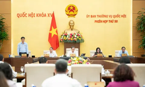 Rút thời hạn thẩm định chỉ tiêu thống kê từ 20 ngày còn 10 ngày