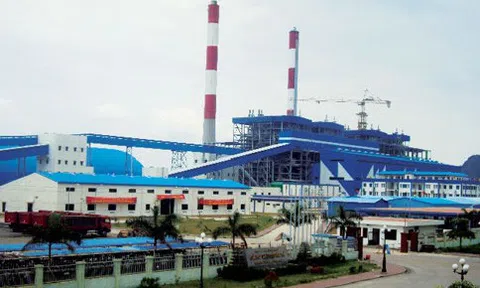 Tổng Công ty Điện lực - TKV (DTK) thay đổi đồng loạt Chủ tịch và Tổng Giám đốc