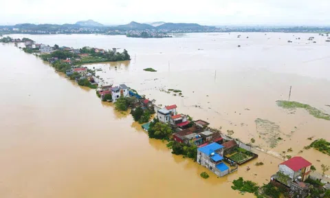 Chống tràn khẩn cấp tuyến đê Hà Châu