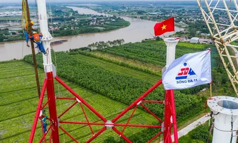Chào bán giá 13.000 đồng/cp thành công, Sông Đà 11 (SJE) chứng kiến cổ đông lớn 'ế' nặng vì giá 77.000 đồng/cp