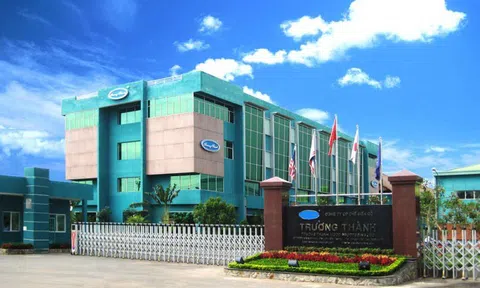 Gánh khoản lỗ lũy kế hơn 3.200 tỷ đồng, Gỗ Trường Thành (TTF) lại thay Kế toán trưởng