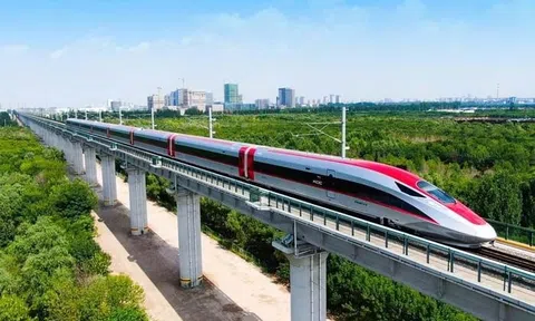 CT Group đề xuất đầu tư tuyến đường sắt 12 tỷ USD kết nối TP HCM - Cần Thơ - Cà Mau