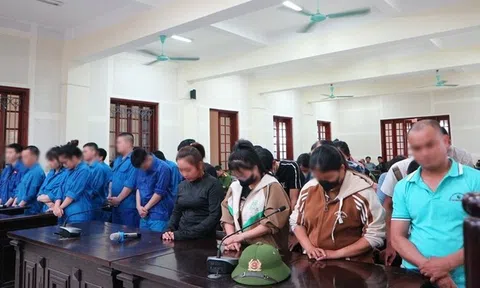Chiếm đoạt 14,1 tỷ đồng bằng kịch bản "việc nhẹ, lương cao", 33 bị cáo hầu tòa