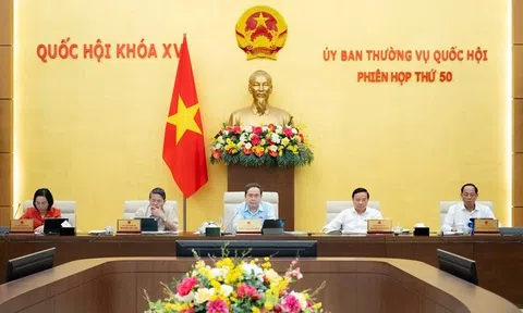 Nghị quyết Ủy ban Thường vụ Quốc hội khóa XV