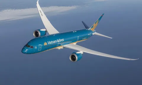 Dữ liệu khách hàng Vietnam Airlines (HVN) bị rao bán, hãng bay khẳng định hệ thống nội bộ an toàn