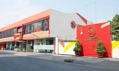 Casumina (CSM): Lợi nhuận 9 tháng đạt gần 74 tỷ đồng, đặt mục tiêu vượt 10% kế hoạch năm