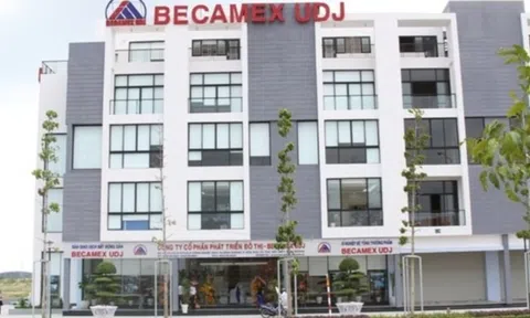 Phát triển Đô thị (UDJ): Quý 3 khởi sắc nhưng chưa đủ vực dậy lợi nhuận 9 tháng