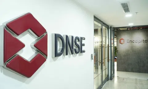 Lãi quý 3 tăng gấp 3 lần, Chứng khoán DNSE (DSE) đã vượt kế hoạch năm nhờ tự doanh và cho vay ký quỹ