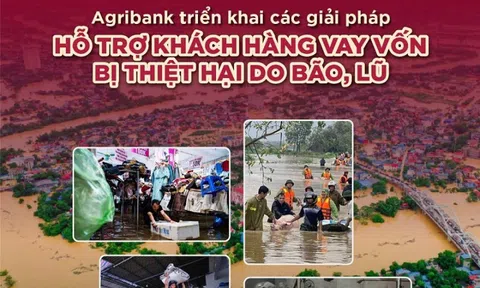 Agribank giảm tới 2%/năm lãi suất cho vay hỗ trợ khách hàng bị ảnh hưởng, thiệt hại do bão, lũ