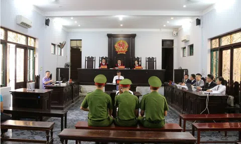 Cái kết có hậu vụ "anh nông dân nuôi gà lôi trắng": Được thả tự do ngay tại tòa