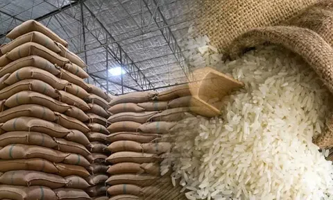 VCCI kiến nghị bỏ bớt một số điều kiện kinh doanh xuất khẩu gạo