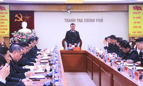 Thanh tra Chính phủ tập trung đẩy nhanh tiến độ ban hành kết luận thanh tra
