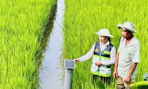 Chuẩn hóa hệ thống khuyến nông theo mô hình tinh gọn, liên thông, thống nhất