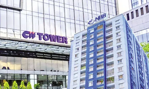 CII Invest (CII) mua vào thành công 2 triệu cổ phiếu NBB, tăng sở hữu tại Năm Bảy Bảy (NBB)