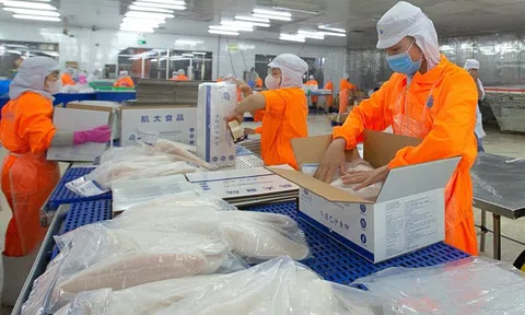 Doanh thu vượt 2.000 tỷ đồng, Thủy sản Nam Việt báo lãi tăng chục lần