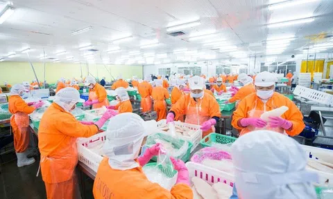Sản lượng tăng, giá bán cải thiện giúp Công ty Nam Việt (ANV) báo lãi sau thuế quý III tăng gấp 10 lần